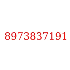 8973837191