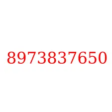 8973837650