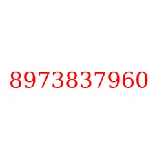 8973837960