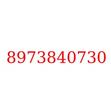 8973840730