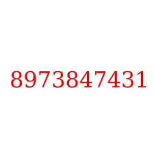 8973847431