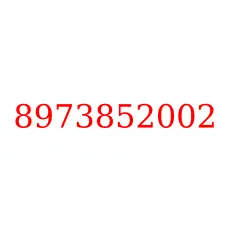 8973852002