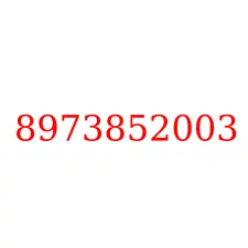 8973852003
