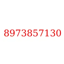 8973857130