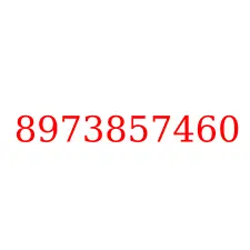 8973857460
