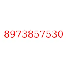 8973857530