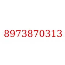 8973870313