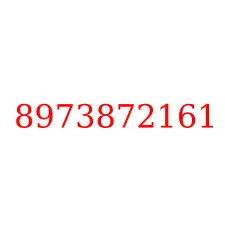 8973872161