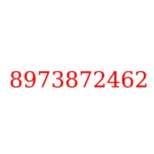 8973872462