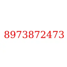 8973872473