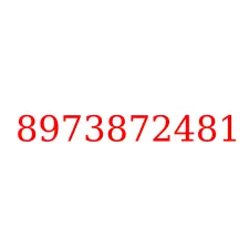 8973872481