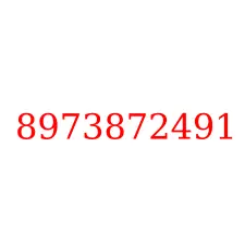 8973872491