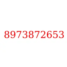 8973872653
