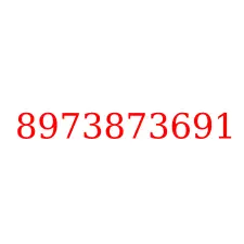 8973873691