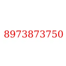 8973873750