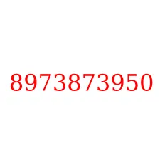 8973873950