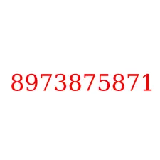 8973875871