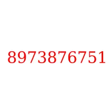 8973876751
