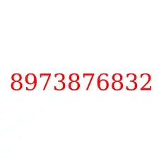 8973876832