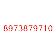 8973879710