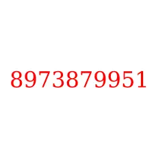 8973879951