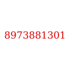 8973881301