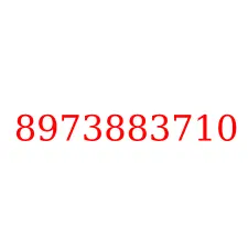 8973883710