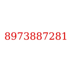8973887281