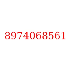 8974068561