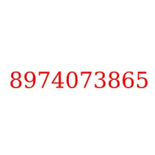 8974073865