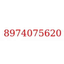 8974075620