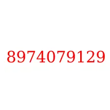 8974079129
