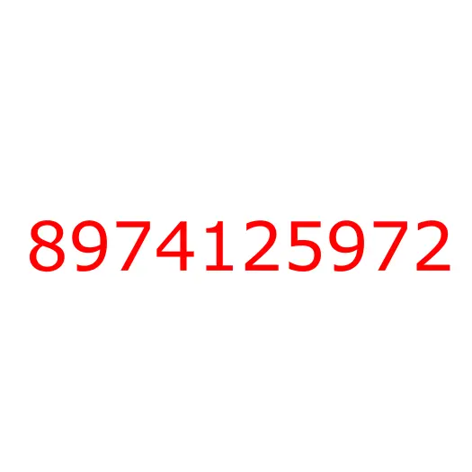 8974125972 16.800 MAT; FLOOR,REINF,CAB RR  MTG, 8974125972