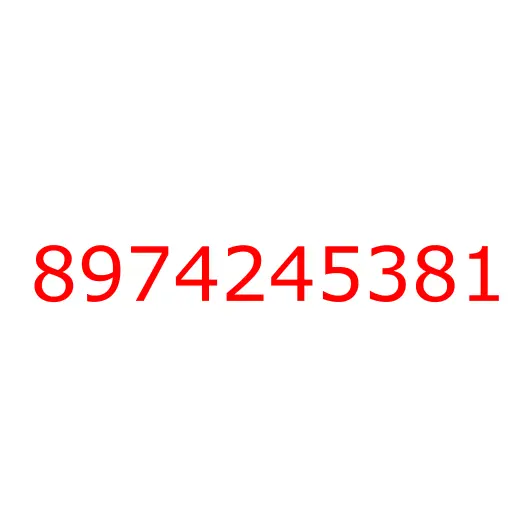 8974245381 COVER, 8974245381