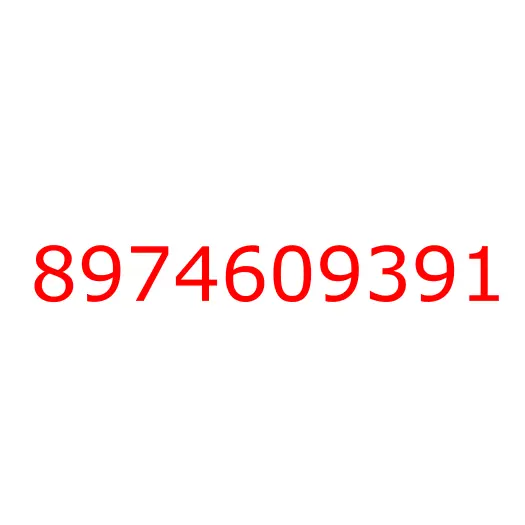 8974609391 COVER, 8974609391