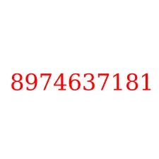 8974637181