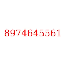 8974645561