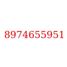8974655951