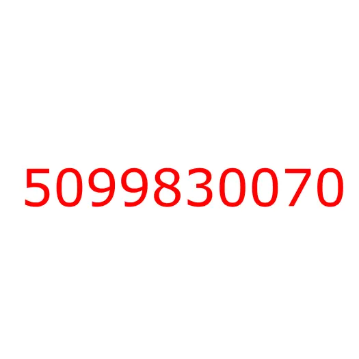 5099830070 Пистон, 5099830070