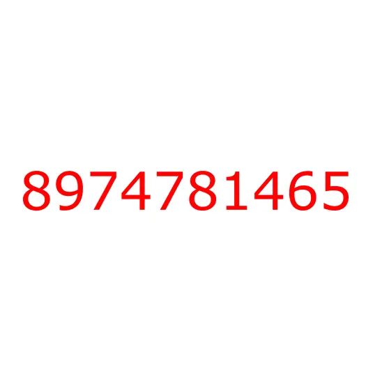 8974781465 COVER, 8974781465