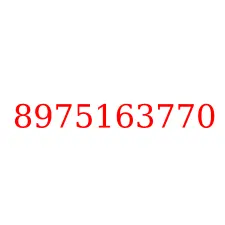 8975163770
