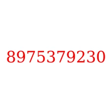 8975379230