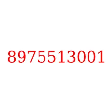 8975513001