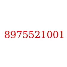 8975521001