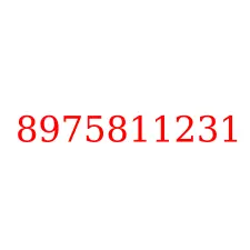8975811231