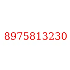 8975813230