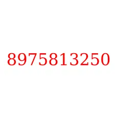 8975813250