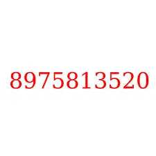8975813520
