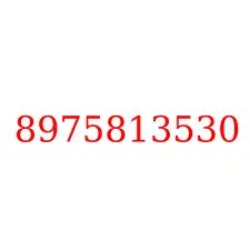 8975813530