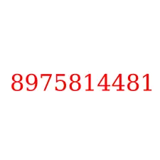 8975814481
